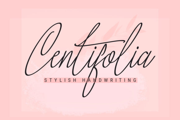 Centifolia: A Stylish Script Font for Elegant Digital Branding