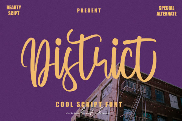 District: A Modern Script Font for Thoughtful Design