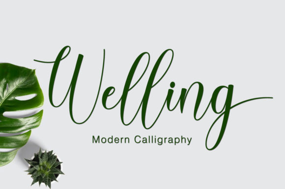 Welling Script Font for Handmade Branding